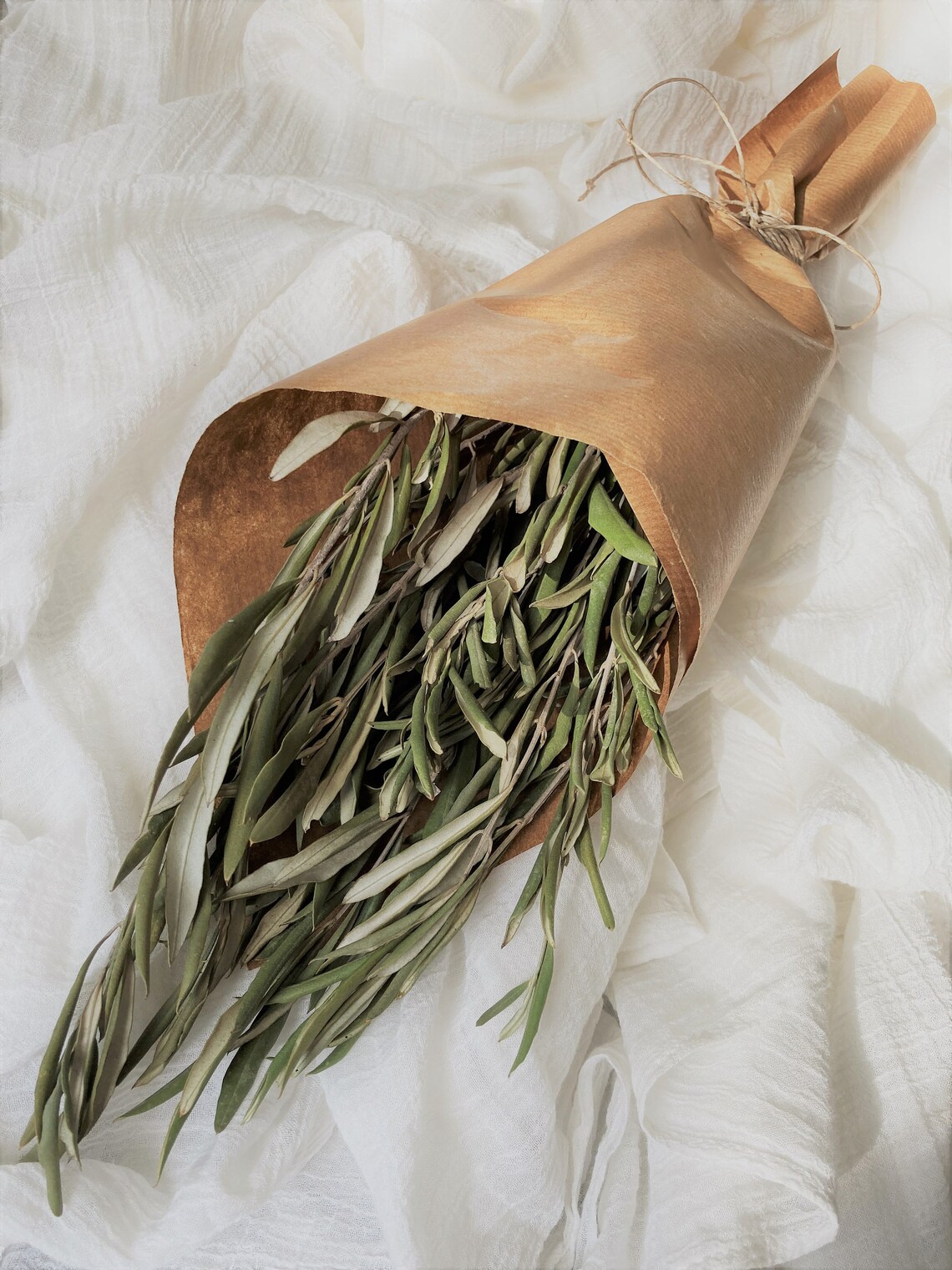 Olive Branches Bunch of Olive Branches Decorative Olive Etsy