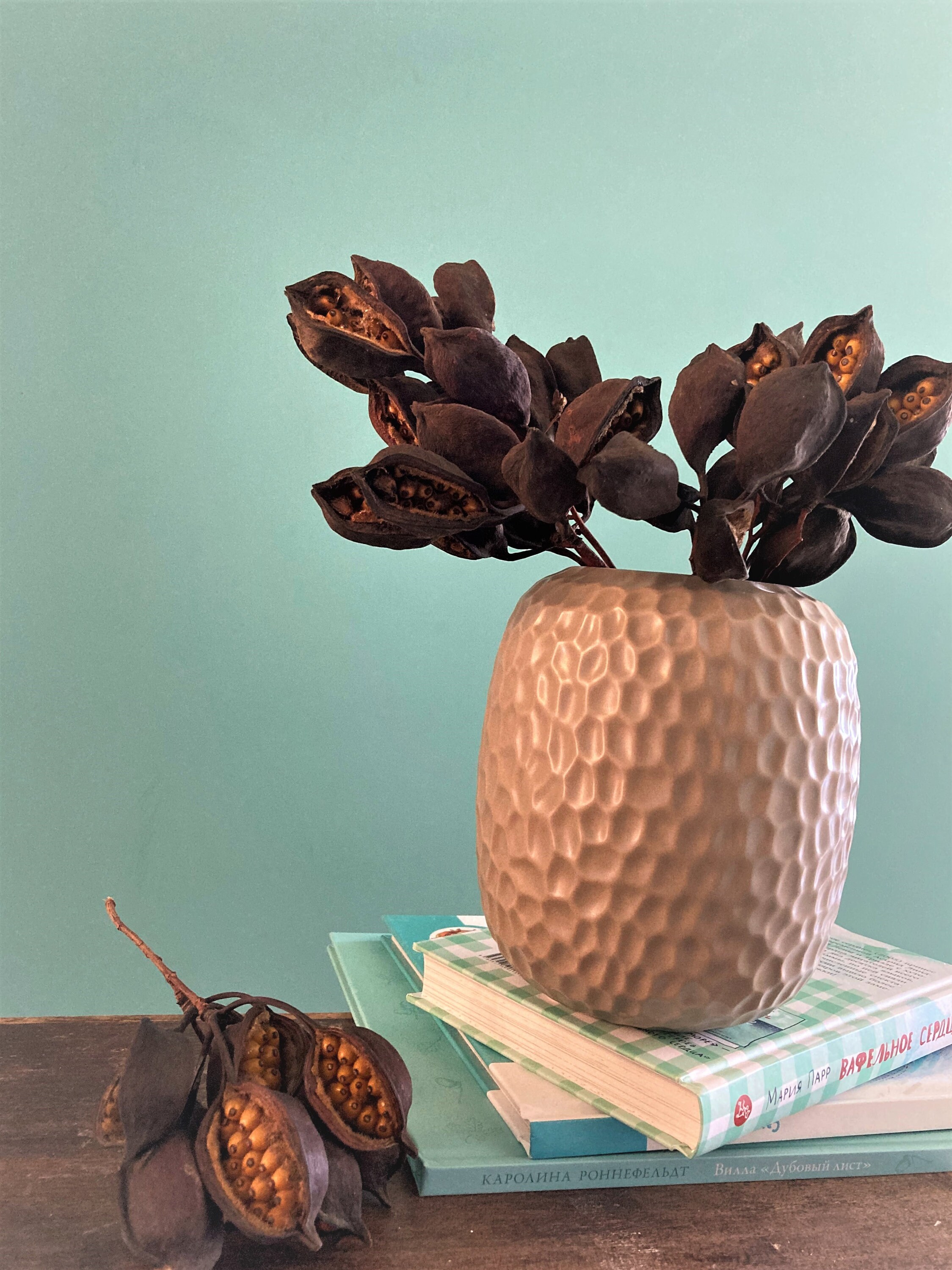 Brachychiton Seed Pods With Stem Bottle Tree Seed Pods Etsy Finland