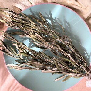 May include: A bunch of dried olive branches arranged on a light blue plate with a pink rim. The branches are spread out and the leaves are a light green color.