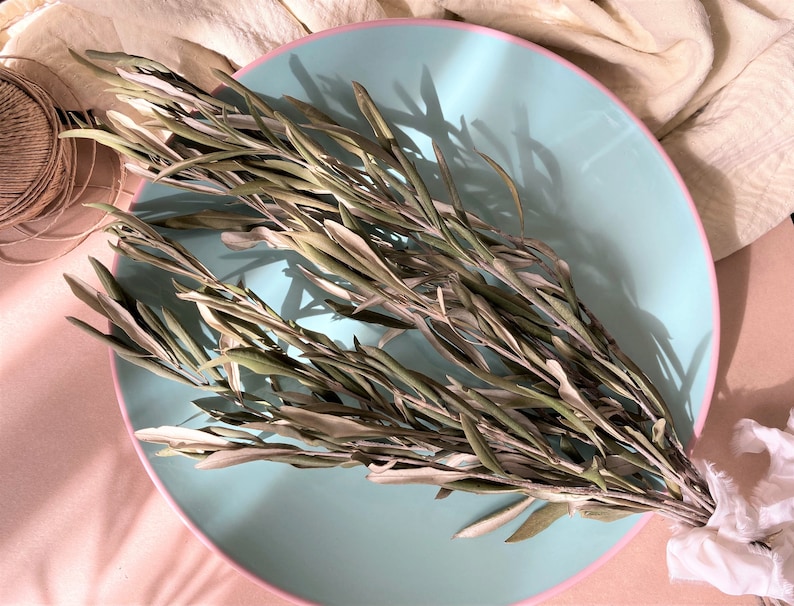 Olive Branches Bunch of Olive Branches Decorative Olive Etsy