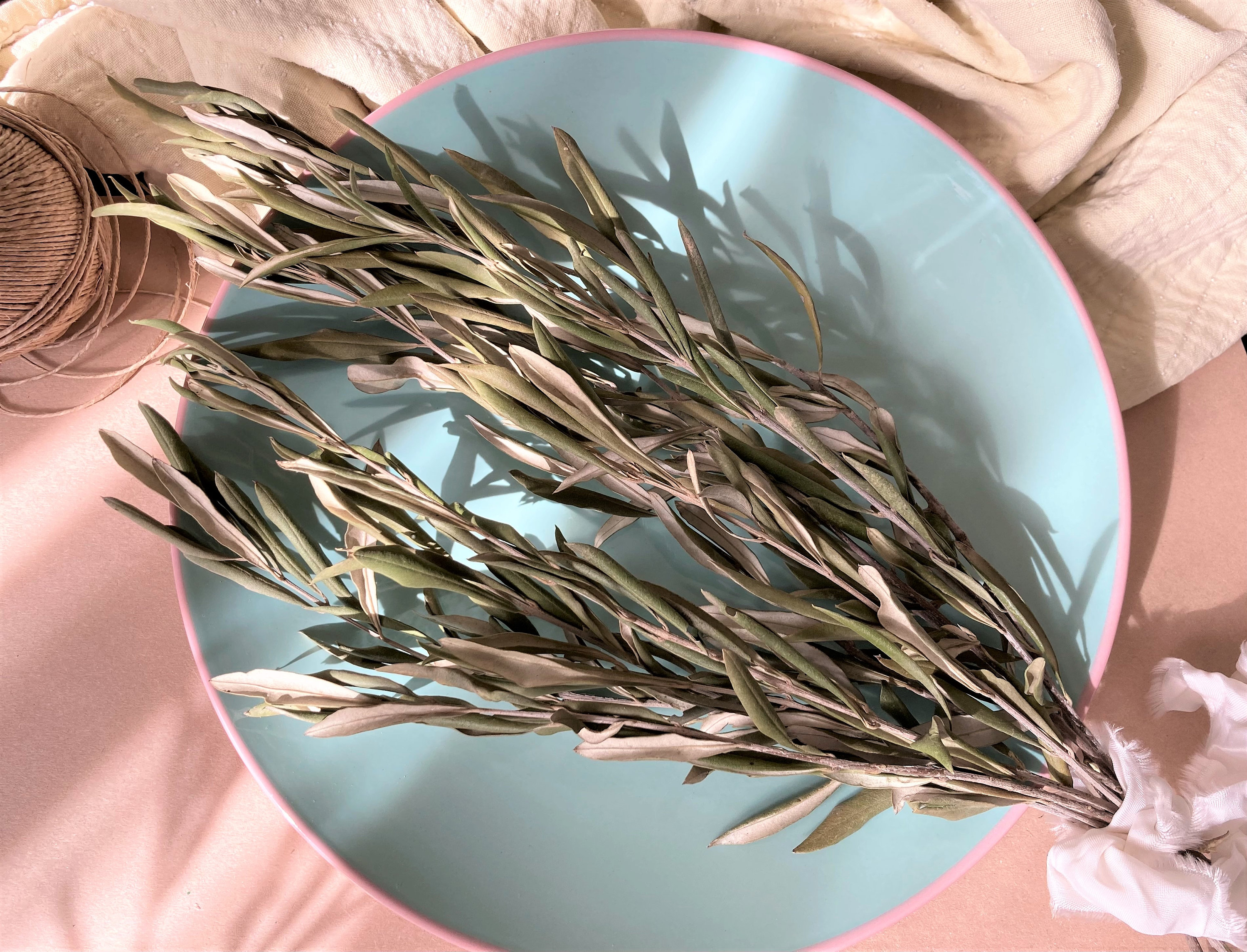 Olive Branches Bunch Of Olive Branches Decorative Olive Etsy