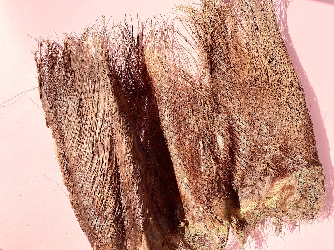 Palm tree fiber Palm tree bark Palm husk Palm fiber sheets Etsy