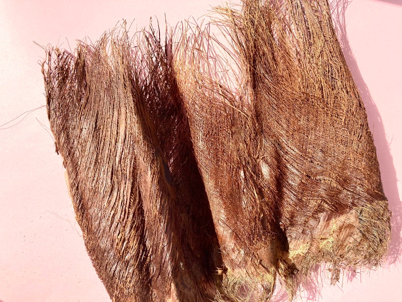 Fibre de palmier Écorce de palmier Enveloppe de palmier Etsy