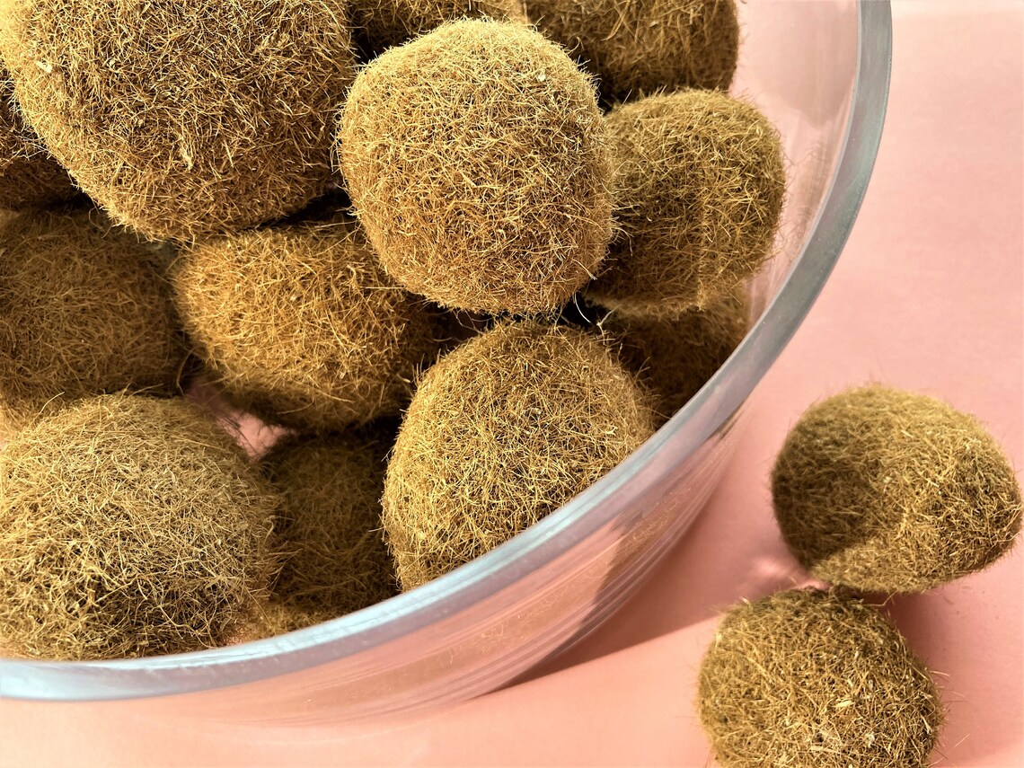 Seaweed Balls Seagrass Balls Neptune Grass Balls Seaweed Etsy