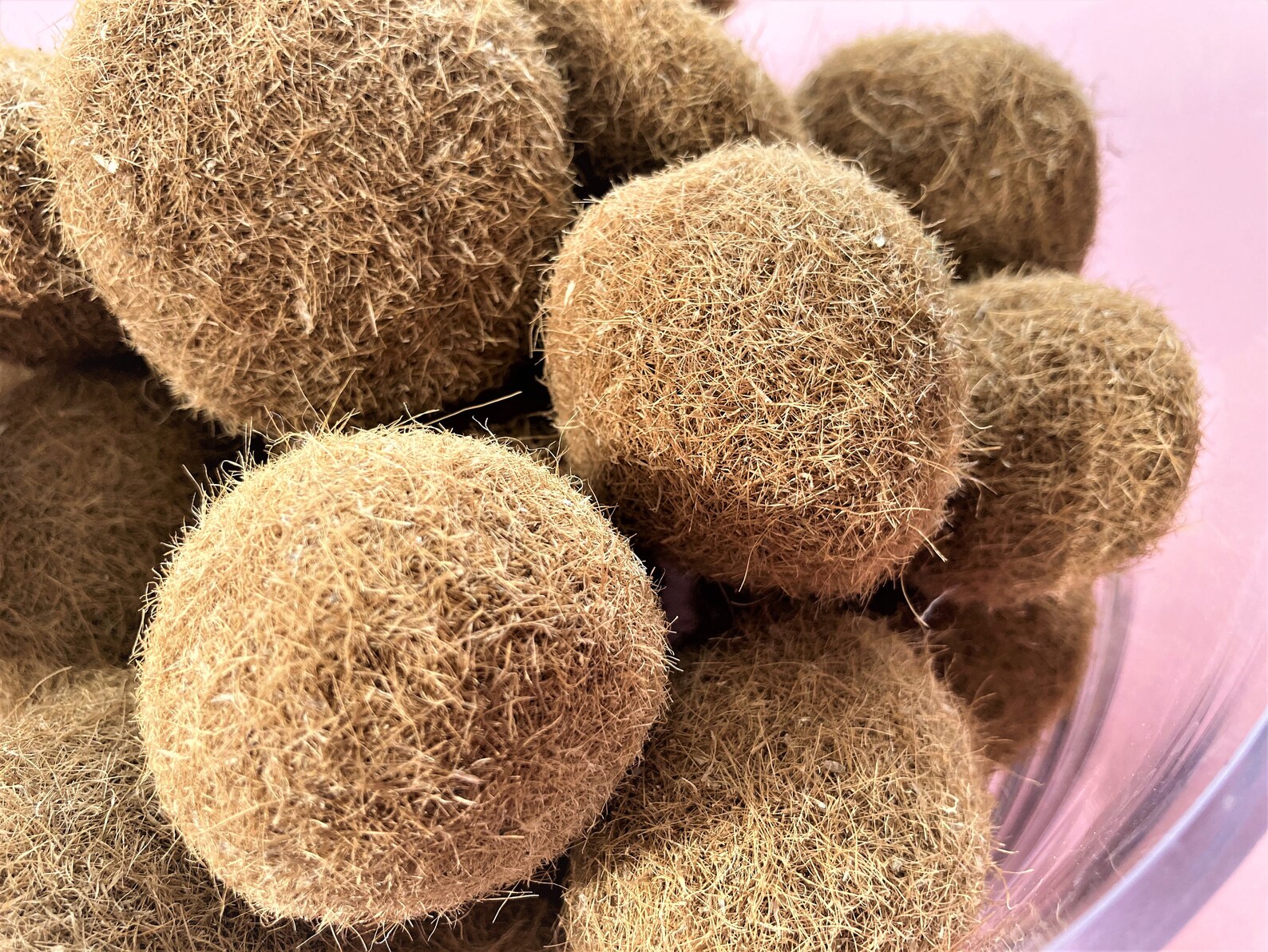 Seaweed Balls Seagrass Balls Neptune Grass Balls Seaweed Etsy