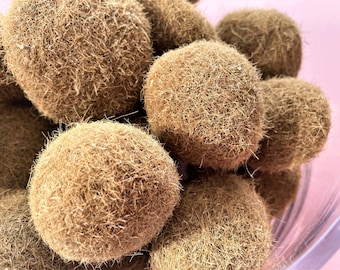 Può includere: Primo piano di diversi oggetti sferici marroni con una consistenza sfocata e fibrosa. Gli oggetti sono raggruppati, riempiendo l'inquadratura. Il colore è un marrone caldo e terroso, e la consistenza appare morbida e leggermente irregolare. Lo sfondo è rosa.