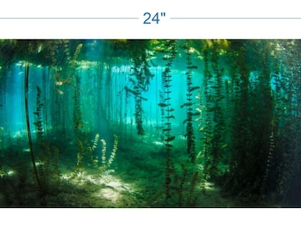 Aquarium Background River Plants Underwater - vinyl graphic adhesive AQ0044
