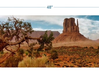 Terrarium Background Desert Landscape - vinyl graphic adhesive TR0001