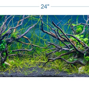Aquarium Background Planted Aquarium Tropical 3 - vinyl graphic adhesive AQ0038