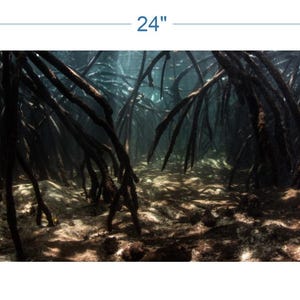 Aquarium Background Underwater Roots - vinyl graphic adhesive AQ0034