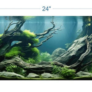 Aquarium Background Underwater Forest 2 - vinyl graphic adhesive AQ0045