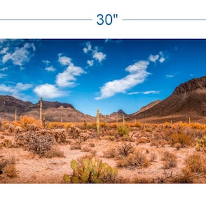 Terrarium Background Desert Landscape v2 - vinyl graphic adhesive TR0003