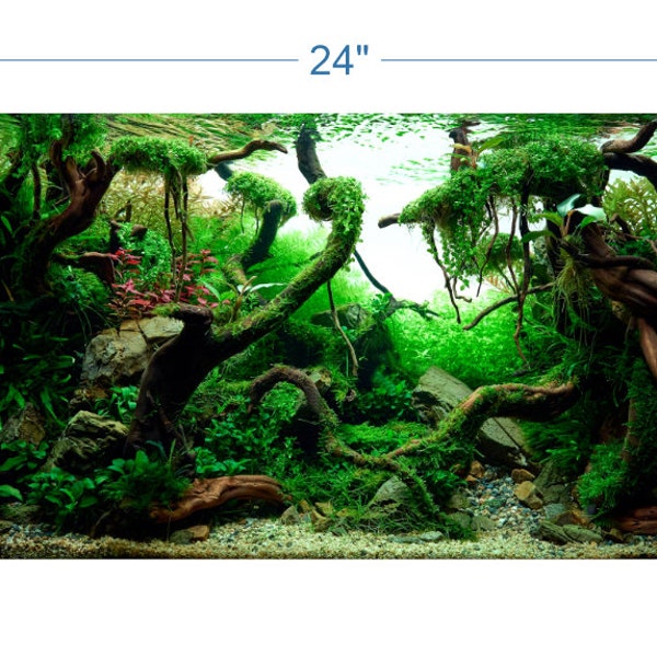Aquarium Vinyl Background - Etsy