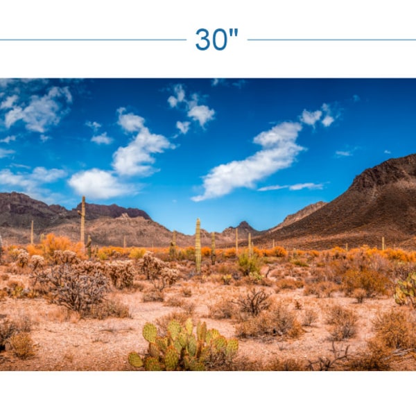 Terrarium Background Desert Landscape v2 - vinyl graphic adhesive TR0003