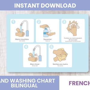 Franse handwasgrafiek/educatieve grafiek/handwasroutine
