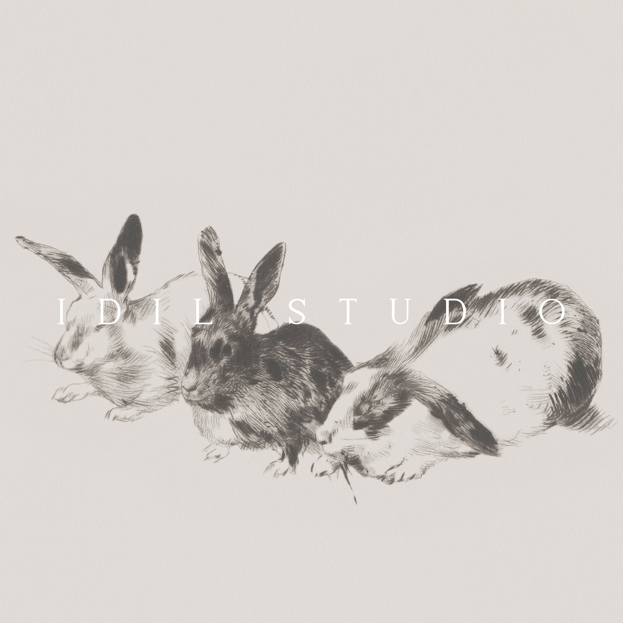 Antique Rabbit Sketch Set of 2 Vintage Easter Bunny Drawing Rustic