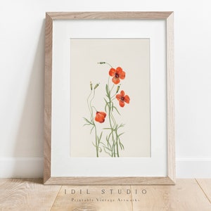 Farmhouse Flower Drawing | Rustic Botanical Watercolor | Vintage Still Life Wall Art PRINTABLE | 228