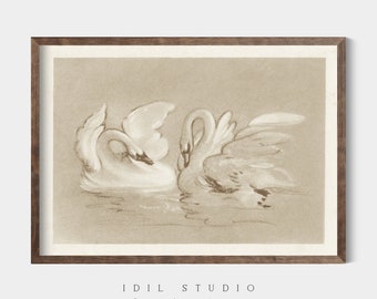 Vintage Swan Sketch | Soft Aesthetic Rustic Swan Art | Animal Wall Art PRINTABLE | 143