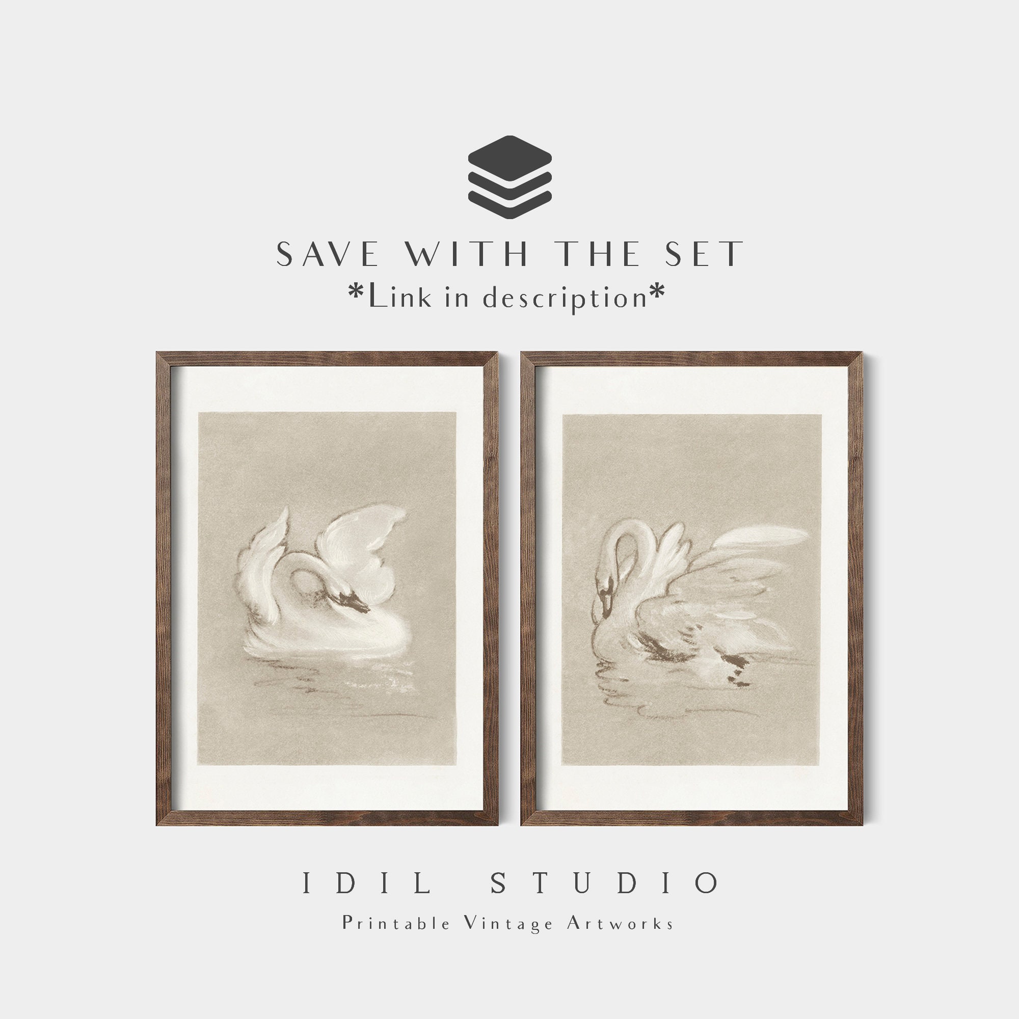 Vintage Swan Sketch Soft Aesthetic Rustic Swan Art Pastel Bird Drawing ...