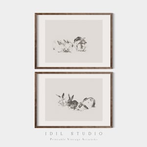 Antikes Kaninchen Sketch 2er Set | Vintage Osterhase Zeichnung | Rustikale neutrale Tierwandkunst DRUCKBAR