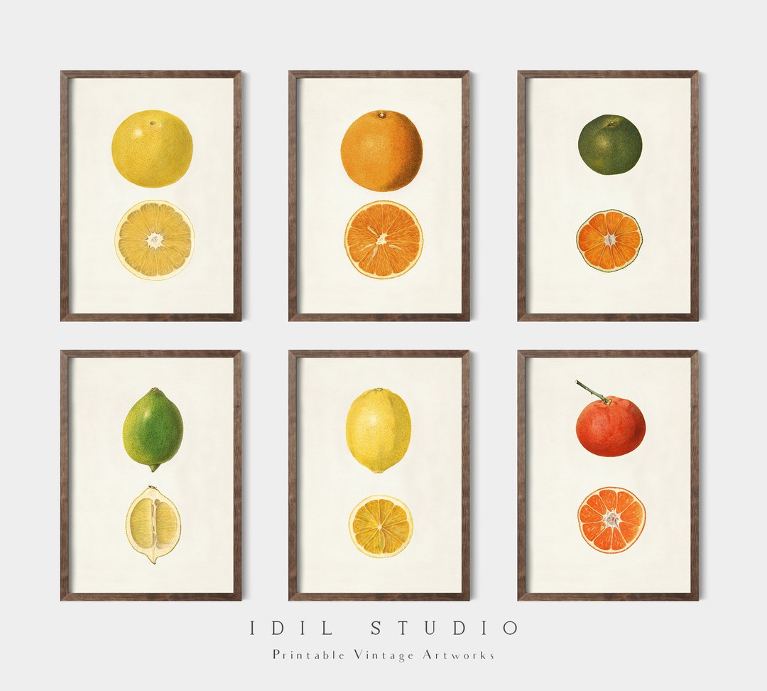kitchen gallery wall art set of 6, vintage fruit... Kitchen Summer Decor | Vintage Kitchen Gallery Wall Art | Citrus ...