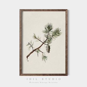Rustic Winter Botanical Drawing | Pine Tree Branch Watercolor | Vintage Christmas Holiday Wall Art PRINTABLE | 344