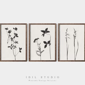 Minimalistischer botanischer Druck 3er Set | Vintage Schwarz-Weiß-Pflanzenzeichnung | Rustikale Blumen Wand Kunst DRUCKBAR