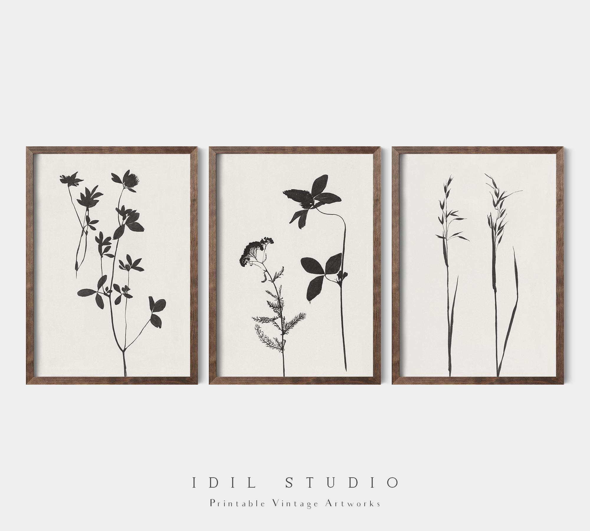 Minimalist Botanical Print Set of 3 | Vintage Black and White Plant Drawing | Rustic Flowers Wall Art PRINTABLE