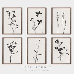 Minimalistischer botanischer Druck 6er Set | Vintage Schwarzweiß-Blumen Zeichnung | Rustikale Blumenwandkunst DRUCKBAR