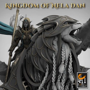 High elf cavalry. High elf Queen. Flying mount. D&D, Pathfinder, RPG. Lord of the Print.