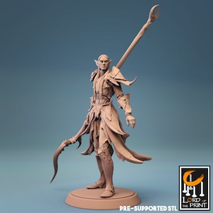 Elfe Speer. Krieger Elfe. Elfen Armee. Herr des Drucks. D&D, Rollenspiel, Pathfinder, Resin Miniatur, Figur. Fansasy