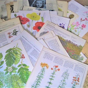 Junk Journal Kit, 50 vintage pagina&#39;s voor junk-tijdschriften, vintage pagina&#39;s, 50 vintage boekpagina&#39;s voor junk-tijdschriften, bundel pagina&#39;s van junk-journaalboeken