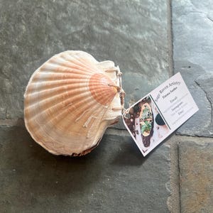 May include: A large, light brown scallop shell with a white interior. The shell is sitting on a gray tiled surface. A white business card with the text "Sage Raven Artistry, Emma Sadler, Email: sage.raven.artistry@gmail.com, Instagram: Sage.Raven.Artistry, Etsy: SageRavenArtistry" is next to the shell.