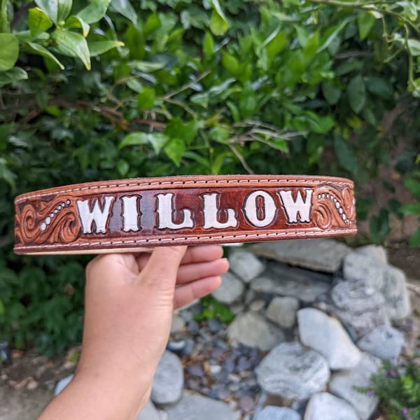 Western Tooled Puppy Dog Collar