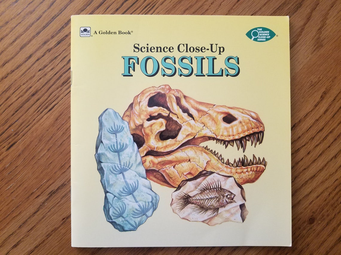 Vintage 90s Rocks and Fossils Books / Retro Softcover Science Etsy