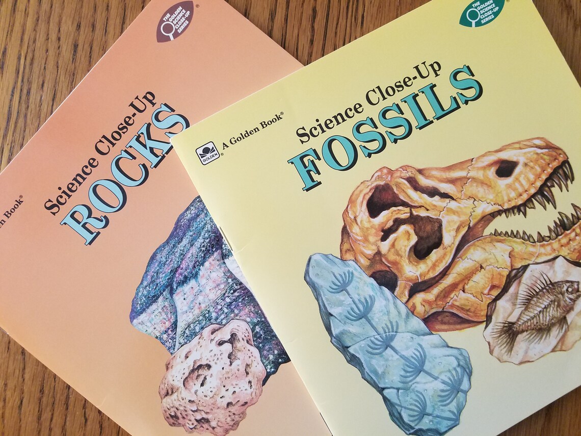 Vintage 90s Rocks and Fossils Books / Retro Softcover Science Etsy