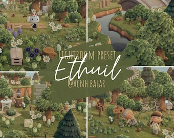 Voreinstellung Ethuil