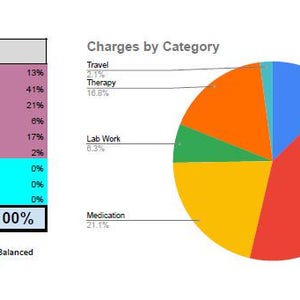 May include: A data visualisation titled Charges By Category featuring a table and a pie chart. The table lists categories including Doctor, Specialist, Medication, Lab Work, Therapy, and Travel with corresponding values and percentages totalling 4,750 and 100%.