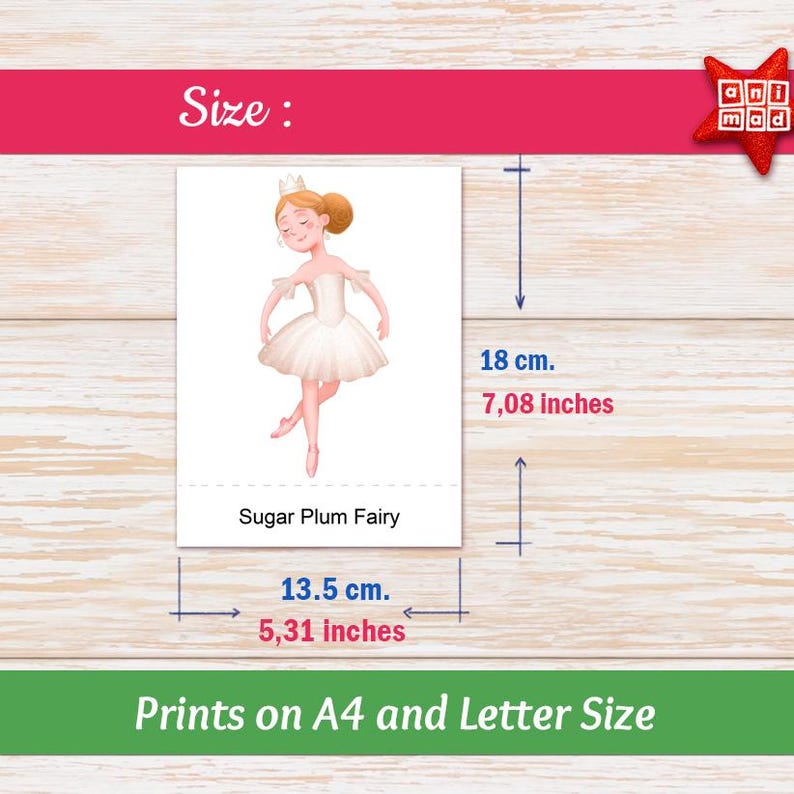 Nutcracker Ballet Flashcards for kids: 26 Montessori Christmas Activity Cards, ballet teachers, homeschool (PDF) image 7