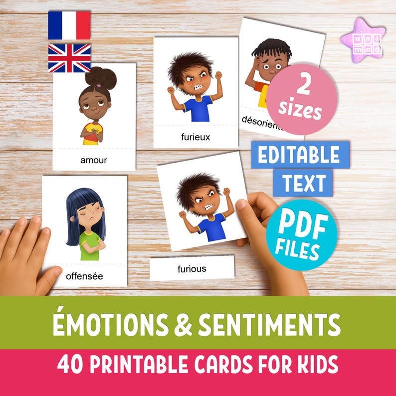 EMOTIONS & FEELINGS Printable Flashcards for Kids in English and French ...