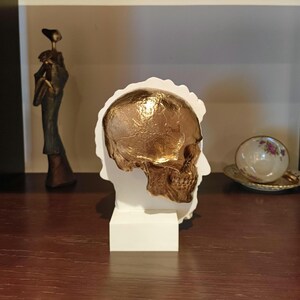 Marcus Aurelius: Memento Mori, Roman Stoic Emperor Bust | Ancient Rome | Office Decor Gift | Roman Empire | Skull | Stoicism | 20cm (8in)