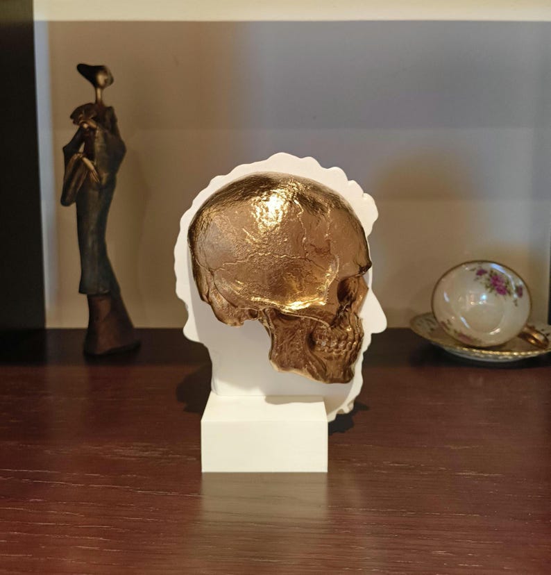 Marcus Aurelius: Memento Mori, Roman Stoic Emperor Bust | Ancient Rome | Office Decor Gift | Roman Empire | Skull | Stoicism | 20cm (8in)