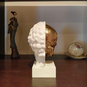 Marcus Aurelius: Memento Mori, Roman Stoic Emperor Bust | Ancient Rome | Office Decor Gift | Roman Empire | Skull | Stoicism | 20cm (8in)