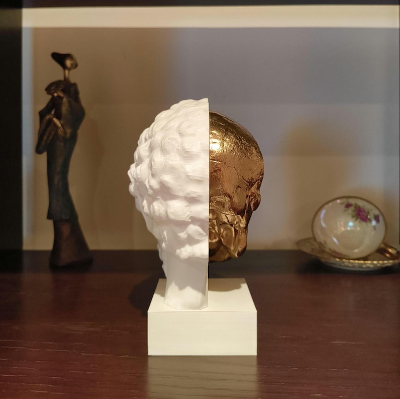 Marcus Aurelius: Memento Mori, Roman Stoic Emperor Bust | Ancient Rome | Office Decor Gift | Roman Empire | Skull | Stoicism | 20cm (8in)