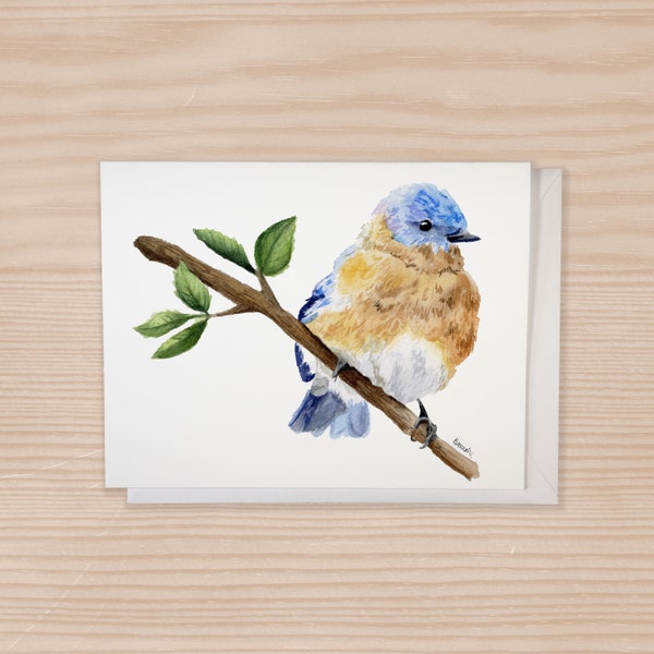 Bluebird Notecard Set of 6, Watercolor Bluebird, Notecards With Envelopes, Wildlife Painting, Bird stationery, Bluebird cards, Bird Lover