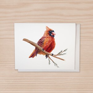 Cardinal Notecard Set of 6, Watercolor Bird, Notecards With Envelopes, Wildlife Painting, Bird stationery, Cardinal cards, Bird Lover