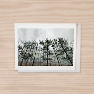 Notitiekaart set van 6, bos, bomen, notitiekaart met enveloppen, sorry, geschilderde landschapskaart, natuur-, botanische kaarten, aquarelkaart,