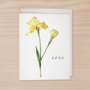 Notecard Set van 6, Aquarel Iris, Aanpasbaar, Flower Notecard met enveloppen, Floral briefpapier, Botanische kaarten, Flower Lover