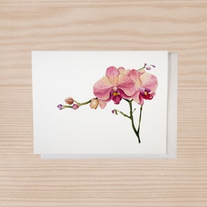 Aquarelkaart Orchidee Notitiekaart Set van 6, aanpasbaar, bloem Notitiekaart met enveloppen, bloemen briefpapier, botanische kaarten, bloemenliefhebber