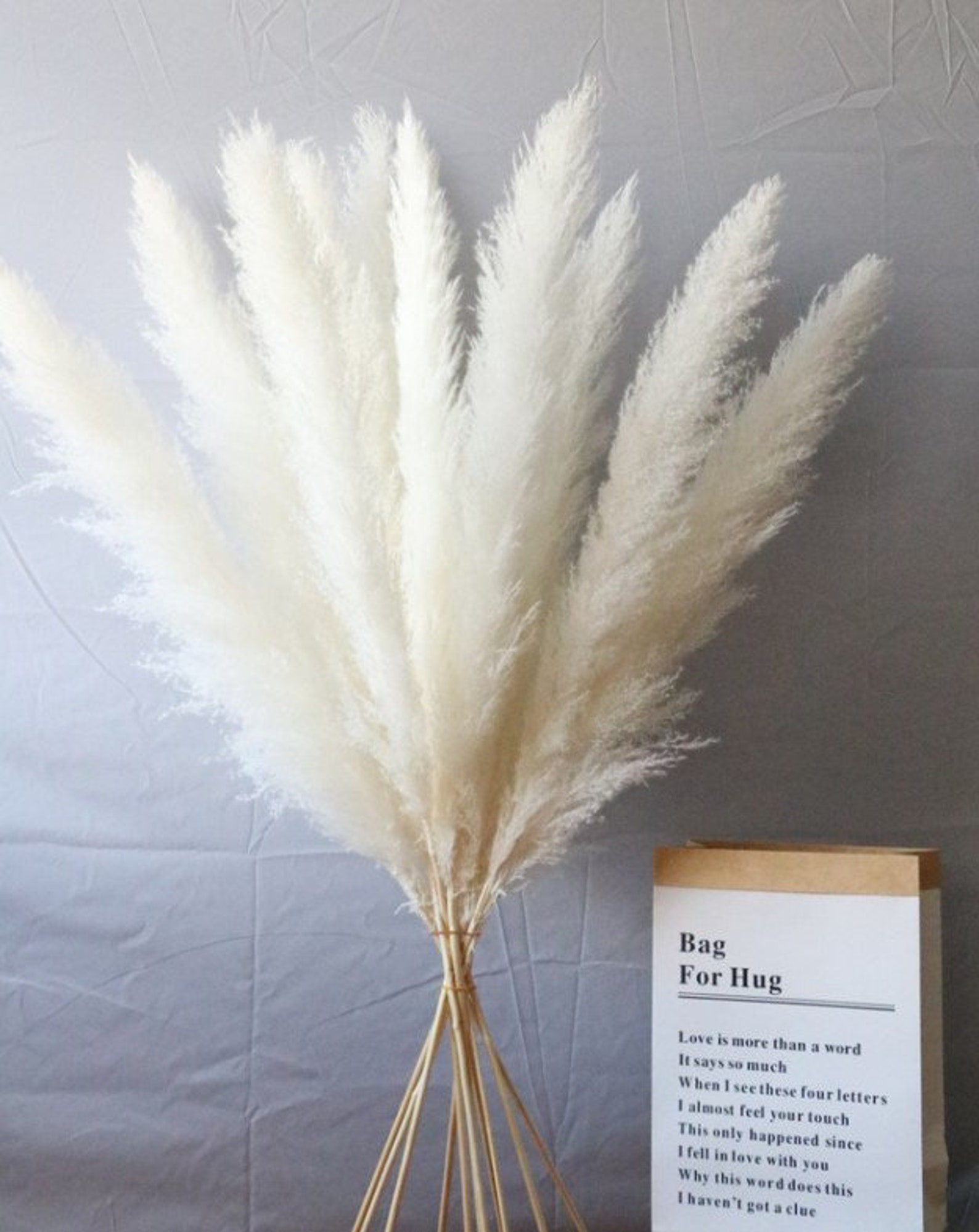 Bleach White Pampas Grass 120cm Etsy UK